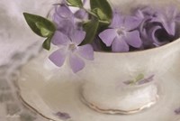 Violet Teacup I Fine Art Print
