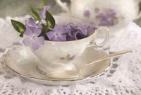 Violet Teacup II Fine Art Print