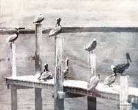 Birds on a Pier Fine Art Print
