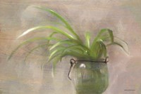 Glass Pot Plant Fine Art Print