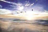 Seascape with Gulls Fine Art Print