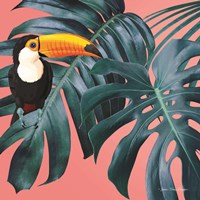 The Toucan Fine Art Print