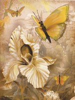 Flower & Butterflies I Fine Art Print