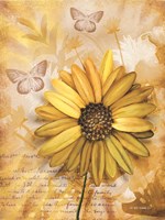 Flower & Butterflies II Fine Art Print