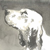 Sepia Modern Dog V Fine Art Print