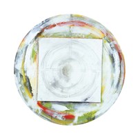 Galileo's Assistant X Fine Art Print