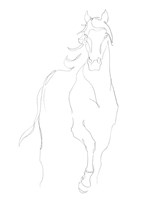 Horse Contour I Fine Art Print