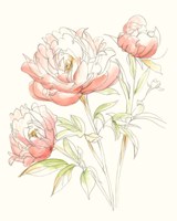 Watercolor Floral Variety III Fine Art Print