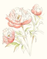 Watercolor Floral Variety III Framed Print