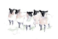 Minimalist Watercolor Sheep I Fine Art Print