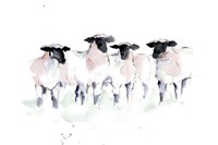 Minimalist Watercolor Sheep II Fine Art Print