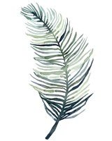 Watercolor Palm Leaves II Fine Art Print