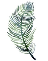 Watercolor Palm Leaves III Framed Print