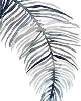 Blue Feathered Palm II Framed Print