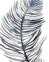 Blue Feathered Palm III Framed Print