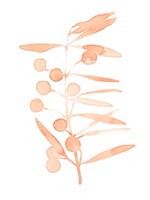Blush Olive Branch II Fine Art Print