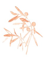 Blush Olive Branch IV Fine Art Print