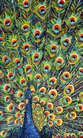 Lavish Peacock I Fine Art Print