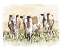 Golden Graze II Fine Art Print