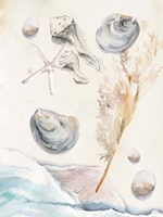 Washing Ashore I Fine Art Print