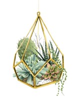 Wild Terrarium II Fine Art Print