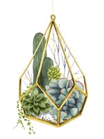 Wild Terrarium IV Fine Art Print