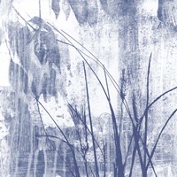 Indigo Exposure I Framed Print