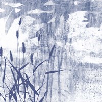 Indigo Exposure II Framed Print