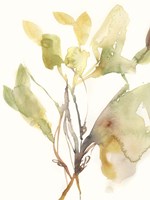 Ebbing Leaves I Fine Art Print