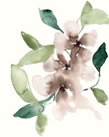 Mauve Flowers I Framed Print