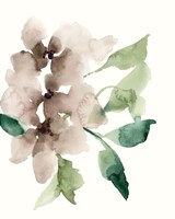 Mauve Flowers II Framed Print