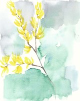 Forsythia Dreams I Fine Art Print