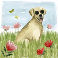 Park Pup II Fine Art Print