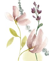 Pastel Flower Composition II Fine Art Print