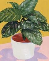 Calethea I Fine Art Print