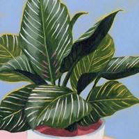 Calethea III Fine Art Print