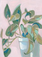 Quirky Plant I Fine Art Print