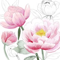 May Peonies I Fine Art Print
