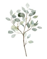 Seaglass Eucalyptus II Fine Art Print