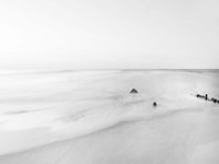 Black & White Water II Fine Art Print