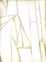 Antiqued Shards II Fine Art Print