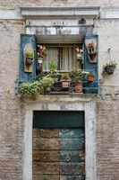 Italian Window Flowers I Fine Art Print