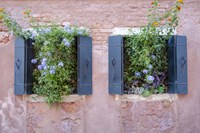 Italian Window Flowers II Fine Art Print
