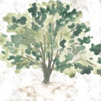 Country Tree I Fine Art Print