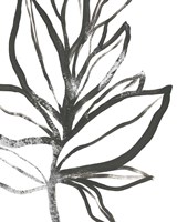 Leaf Instinct I Framed Print