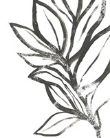 Leaf Instinct II Framed Print