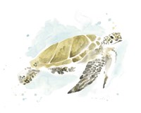 Watercolor Sea Turtle Study I Fine Art Print