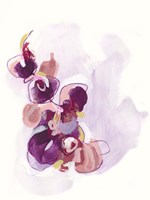 Orchid Sonata I Fine Art Print