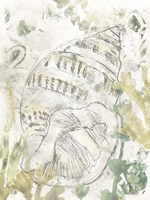 Verdant Shell Fresco III Fine Art Print