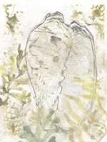 Verdant Shell Fresco IV Fine Art Print